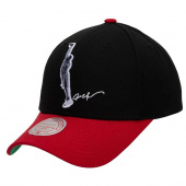 76ERS-Iverson Snapback 76ERS-Iverson Snapback