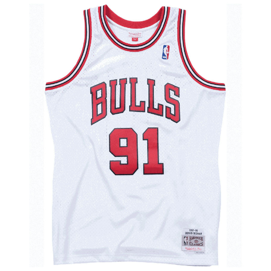 Bulls-Rodman Swingman