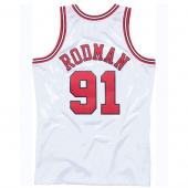 Bulls-Rodman Swingman