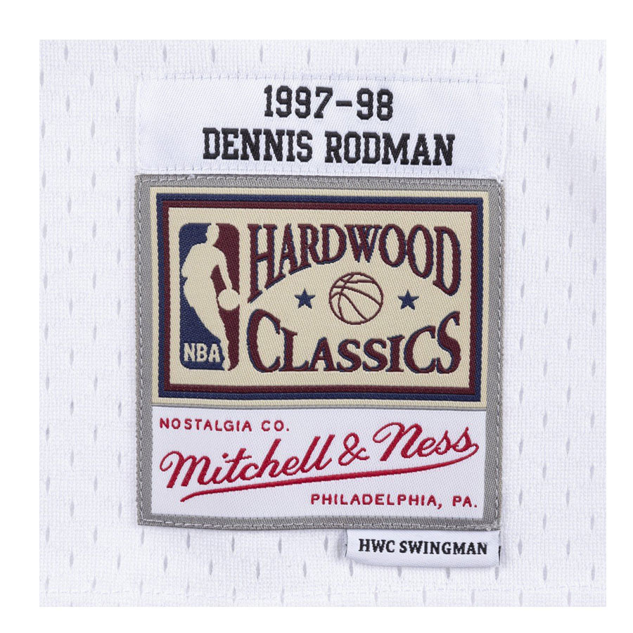 Bulls-Rodman Swingman