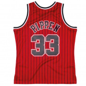Bulls-Pippen Swingman