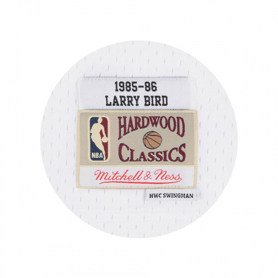 Celtics-Bird Swingman