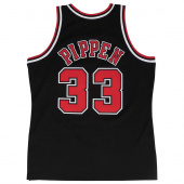 Bulls-Pippen Swingman