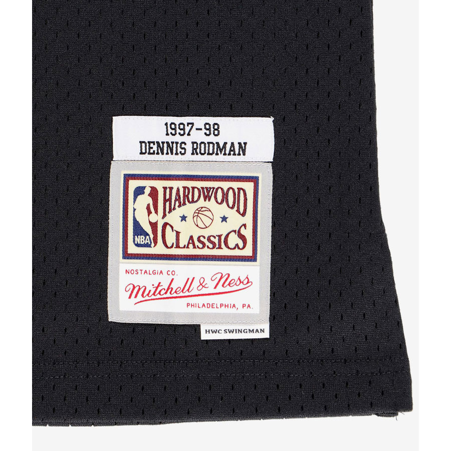 Bulls-Rodman Swingman