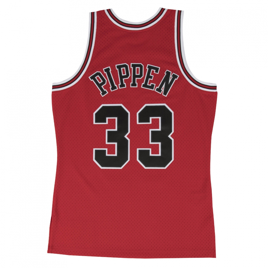 Bulls-Pippen Swingman