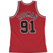 Bulls-Rodman Swingman