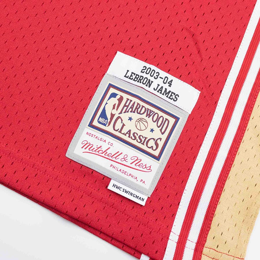 Cavaliers-LeBron Swingman