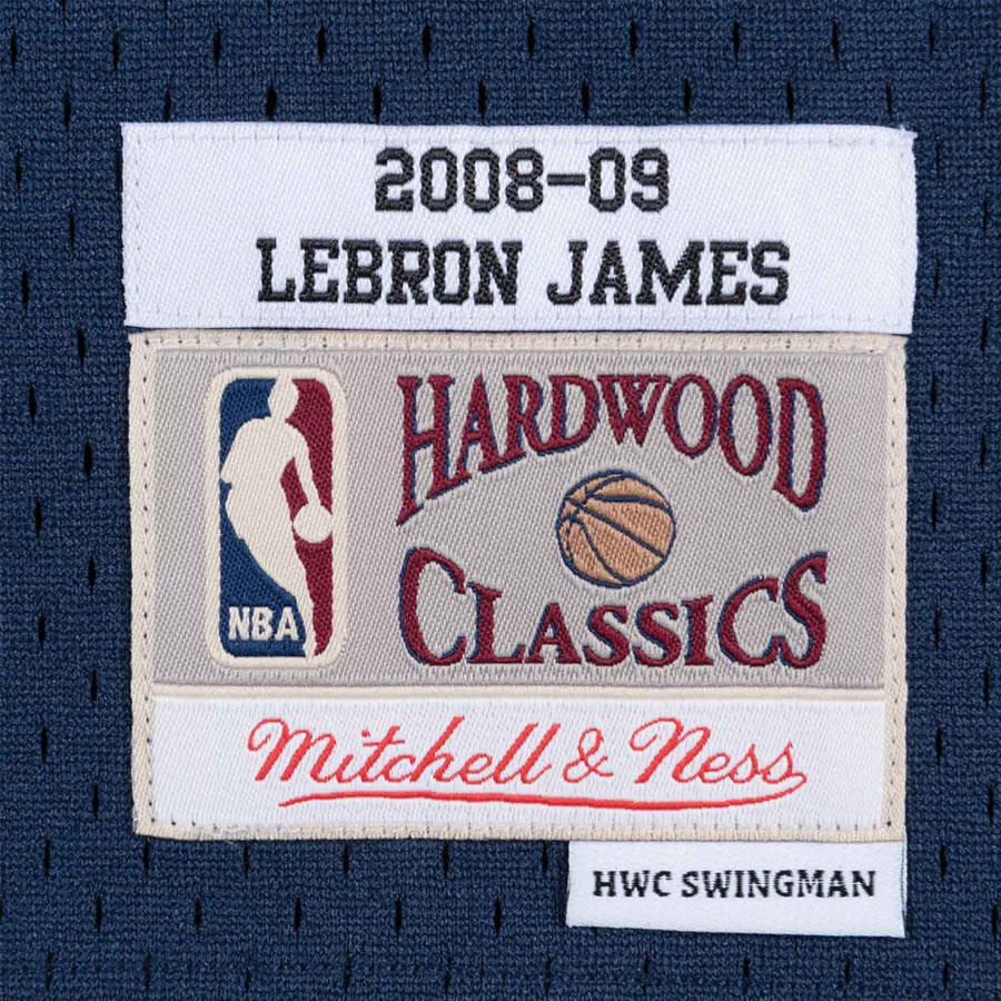 Cavaliers-LeBron Swingman