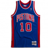Pistons-Rodman Swingman