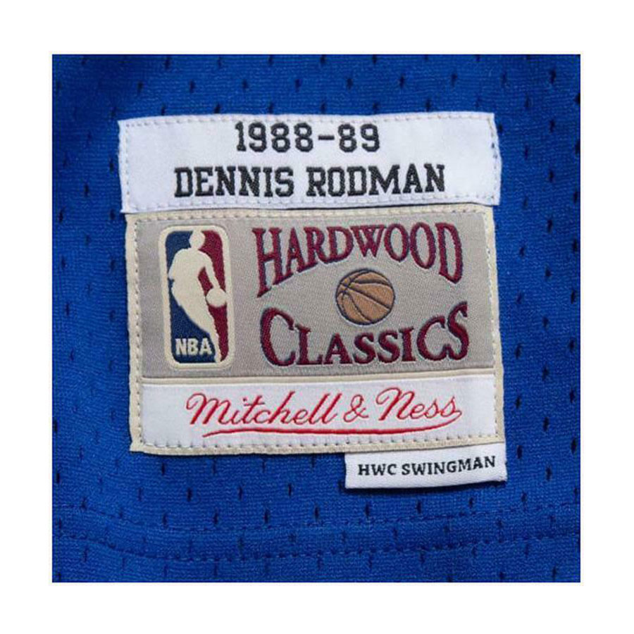 Pistons-Rodman Swingman