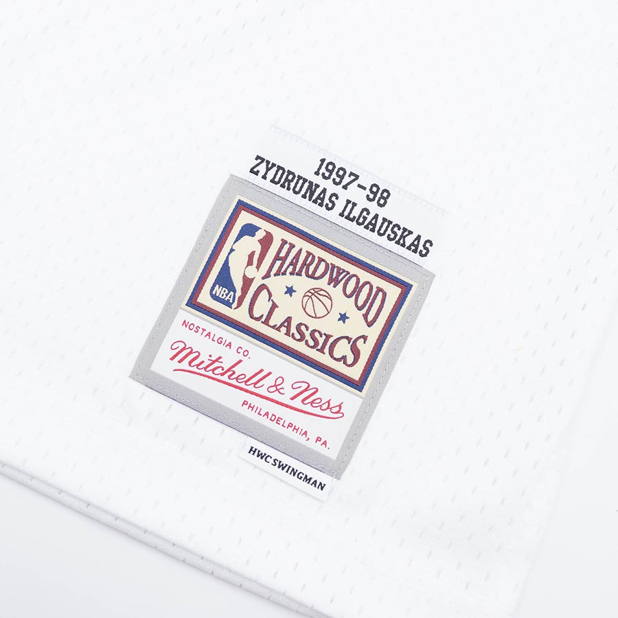 Cavaliers-Ilgauskas Swingman