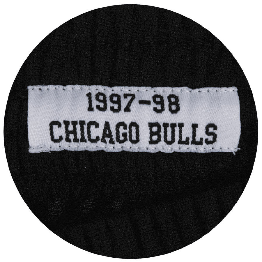 Bulls Swingman Shorts