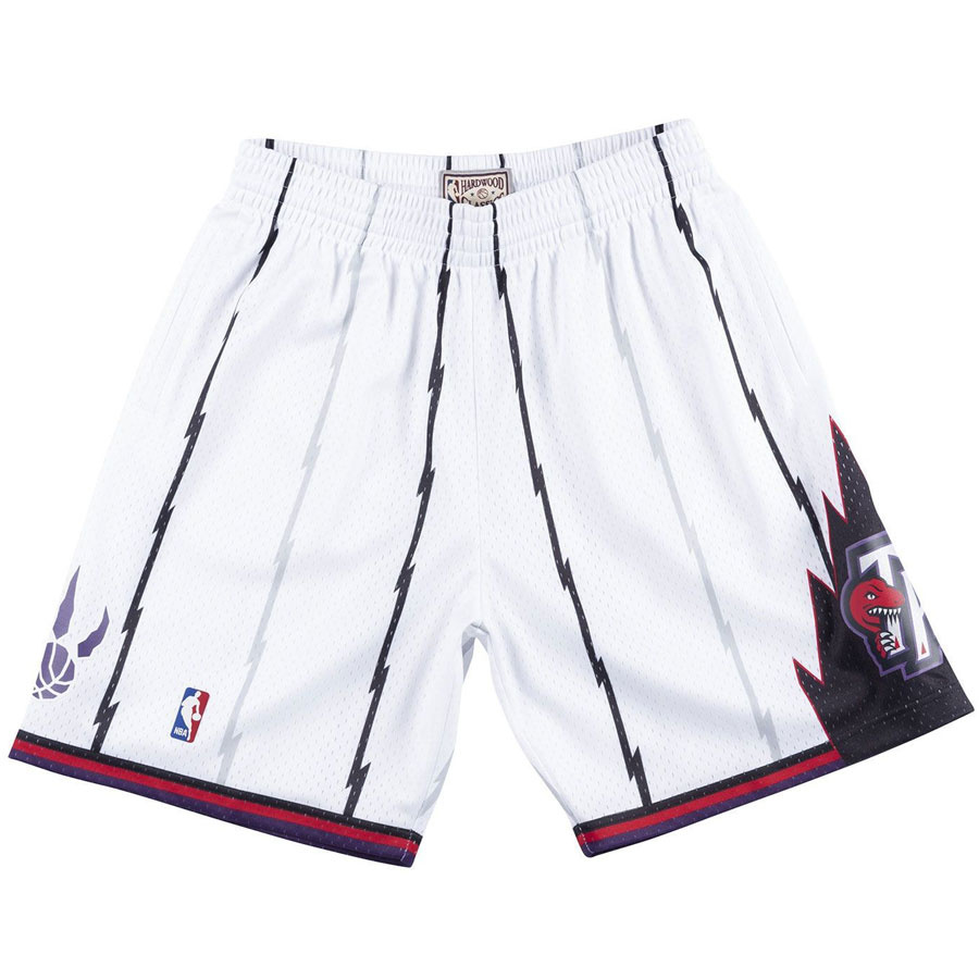 Raptors Swingman Shorts