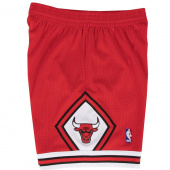 Bulls Swingman Shorts