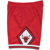 Bulls Swingman Shorts