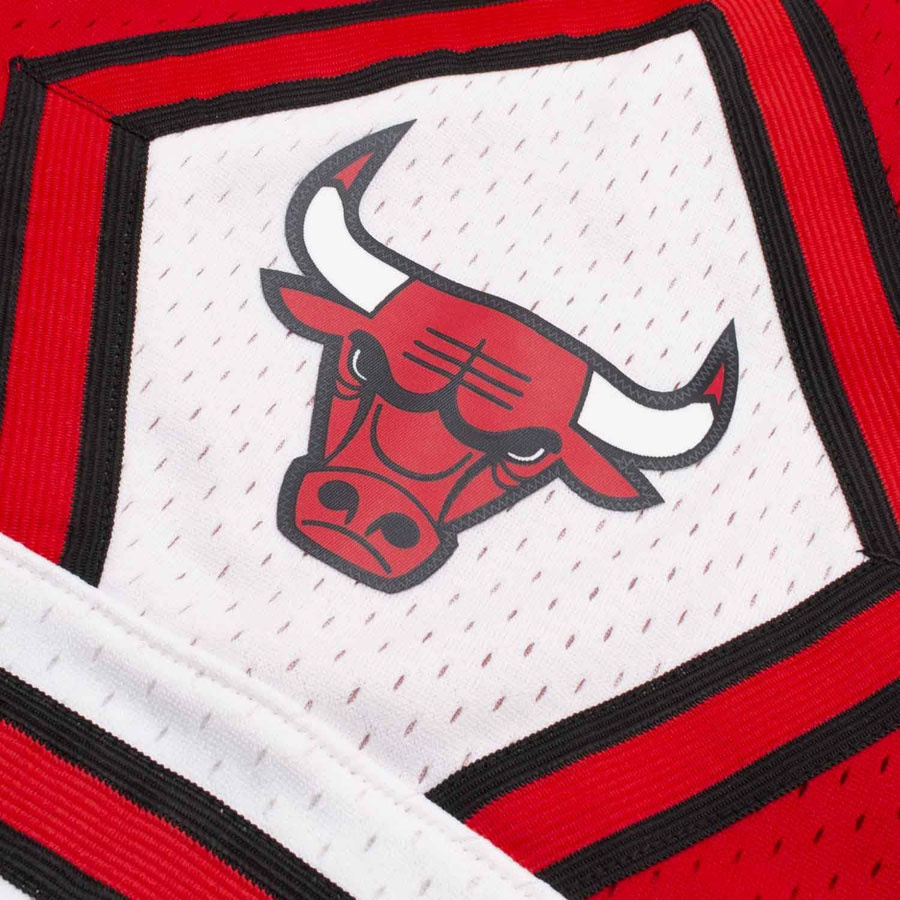 Bulls Swingman Shorts