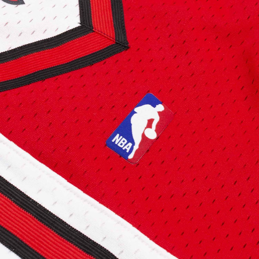 Bulls Swingman Shorts