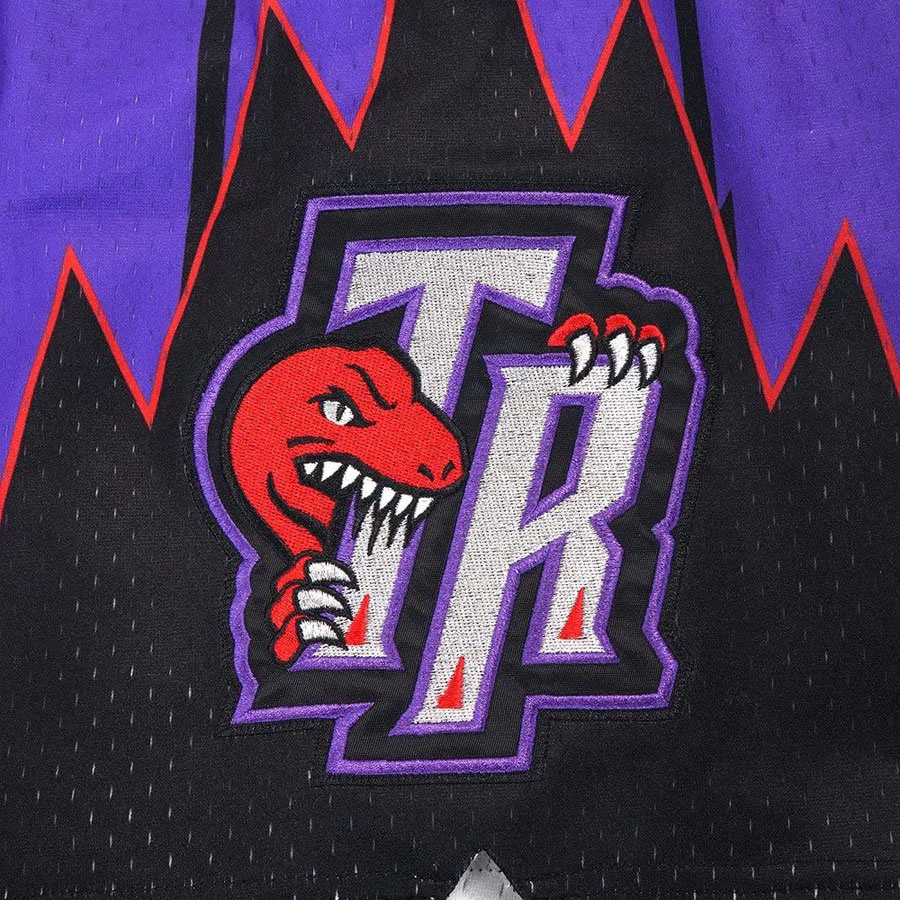 Raptors Swingman Shorts