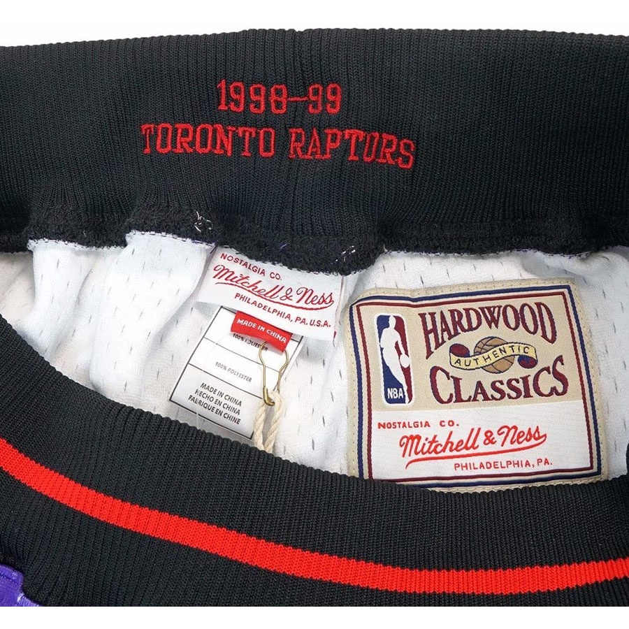 Raptors Swingman Shorts