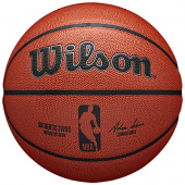 Wilson NBA Authentic Indoor/Outdoor (7)